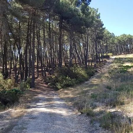 Apartament El Solano-la Gallega La Gallega