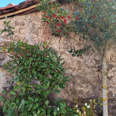 El Solano-La Gallega *